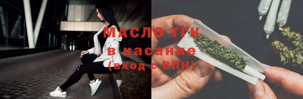 мет Алексин